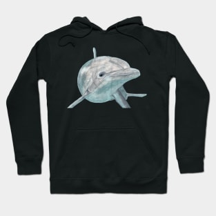 Dolphin Hoodie